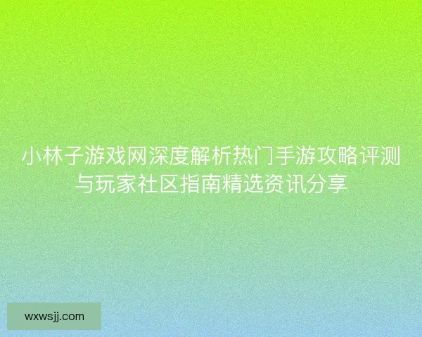 小林子游戏网深度解析热门手游攻略评测与玩家社区指南精选资讯分享